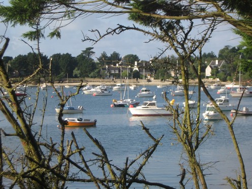 Vue du bois du Porzou