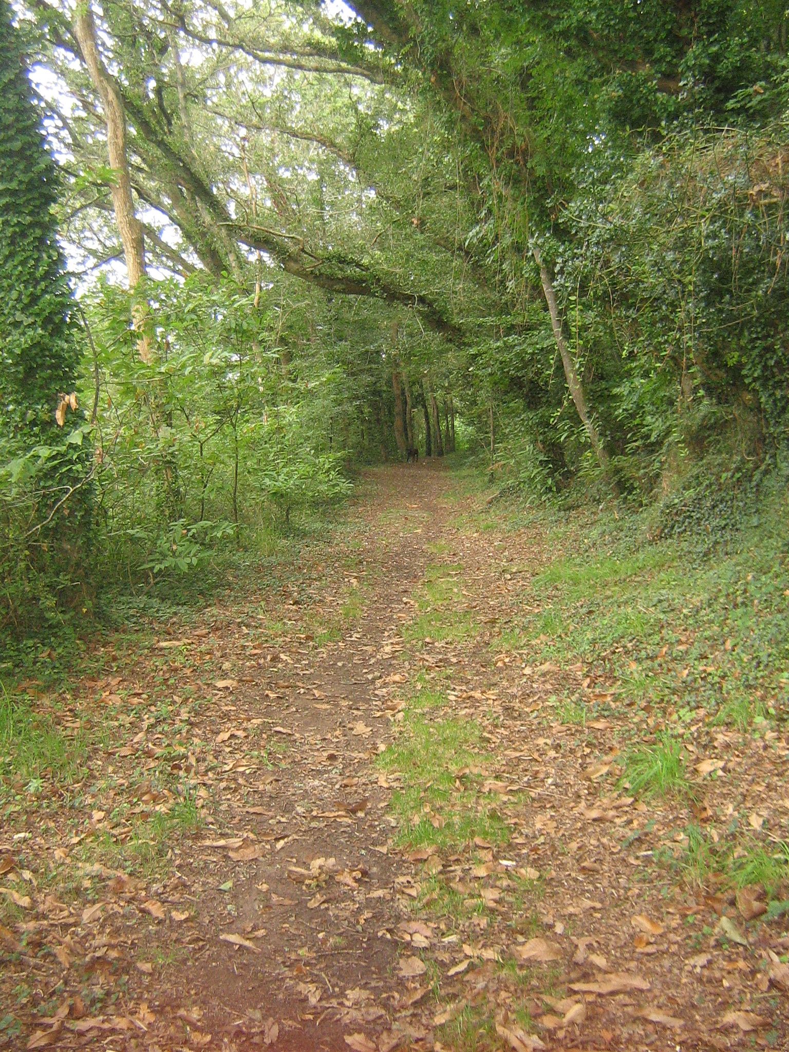 Promenade le long du Moros